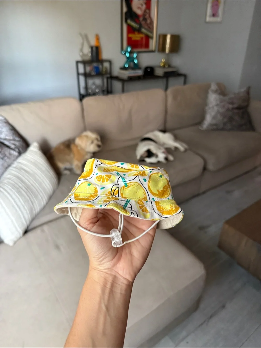 Yellow Citrus Print SMALL DOG Bucket Hat - Unbranded